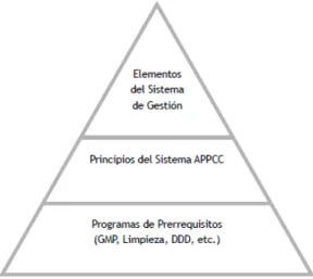 Gráfico 1. ESTRUCTURA PIRAMIDAL NORMA ISO 22000. 
