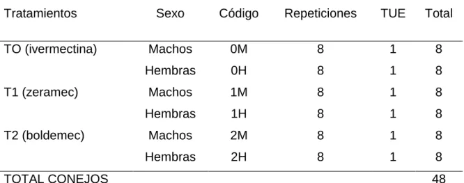 Cuadro 6.  ESQUEMA DEL EXPERIMENTO. 