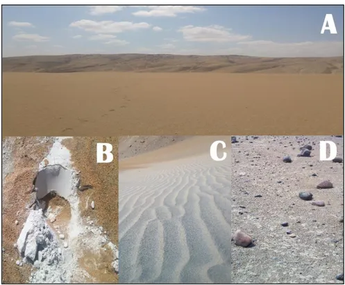 Fig. 12. Tipos de suelo muestreado en el Desierto de las Pampas de la Joya A. Primer tipo de tierra  (JR1)  (color  rojo,  la  más  abundante),  B