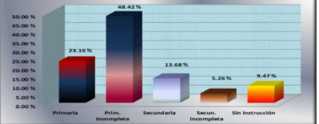 GRÁFICO N° 3 