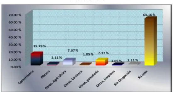 GRÁFICO N° 7  OCUPACIÓN 