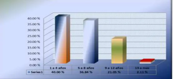 GRÁFICO N° 9 
