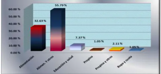 GRÁFICO N° 10 