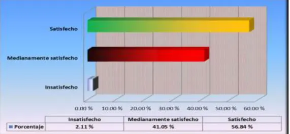 GRÁFICO N° 11 