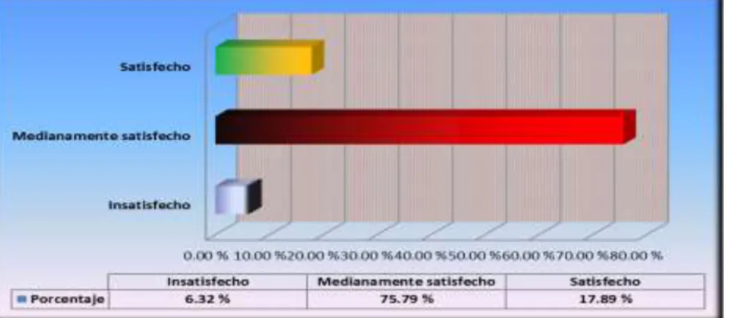 GRÁFICO N° 12 