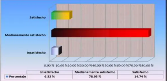 GRÁFICO N° 13 