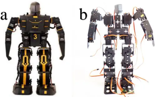 Figura III -8 a) plataforma robophilo, b) plataforma 17 dof 