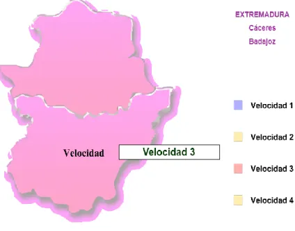 Gráfico N° 15 