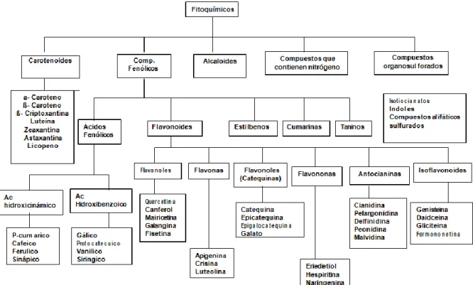 Figura III. Clasificación de fitoquímicos en base a su estructura química 