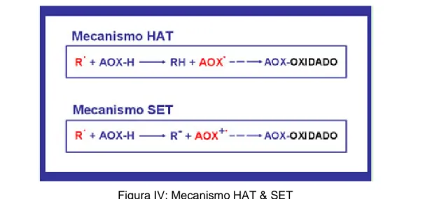 Figura IV: Mecanismo HAT &amp; SET 