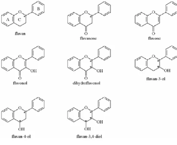 Figura VII: Estructura de los flavonoides