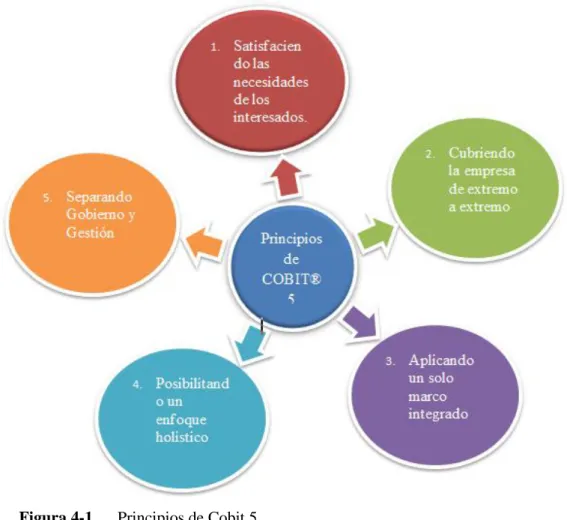 Figura 4-1.     Principios de Cobit 5 
