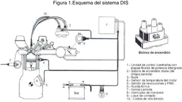 Figura 1.Esquema del sistema DIS 