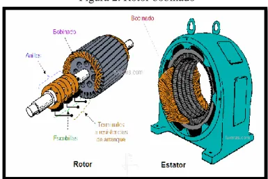 Figura 2. Rotor bobinado 
