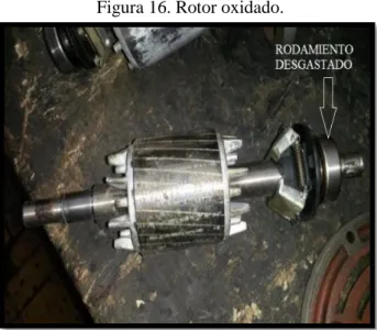 Figura 16. Rotor oxidado. 