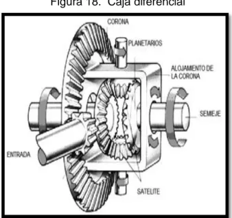 Figura 18.  Caja diferencial 