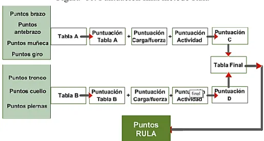 Figura  16. Puntuación final método Rula 