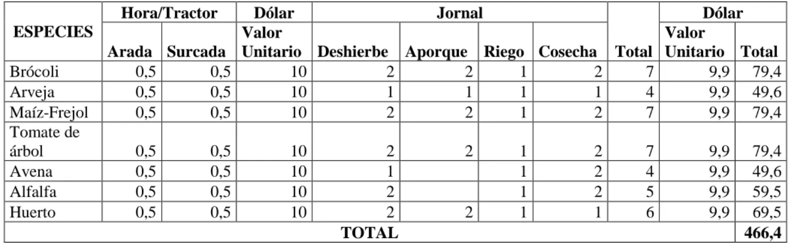 CUADRO 1.  DISTRIBUCION DE LA MANO DE OBRA EN EL COMPONENTE                        AGRICOLA DE LA GRANJA INTEGRAL MODELO