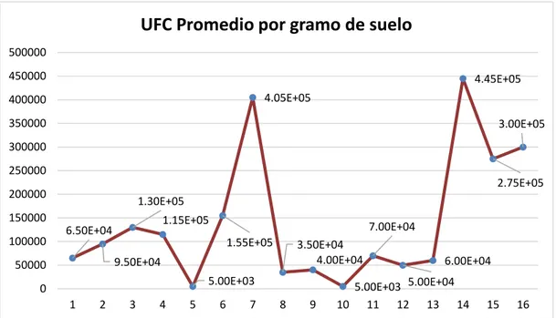 Figura 15: UFC promedio por gramo de suelo de los bofedales. 