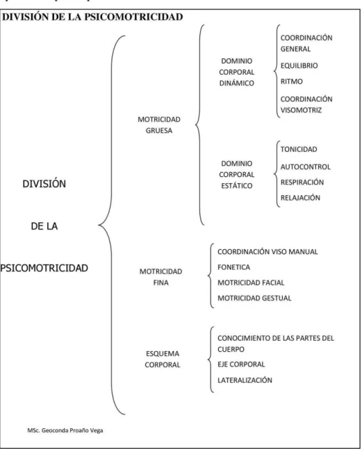 Figura 01. División de psicomotricidad 