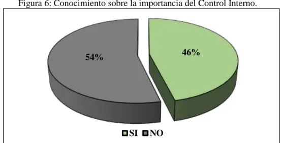 Figura 6: Conocimiento sobre la importancia del Control Interno. 
