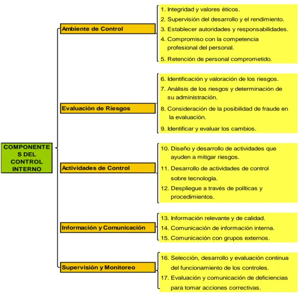 Figura N° 5. Componentes y Principios del Control Interno 