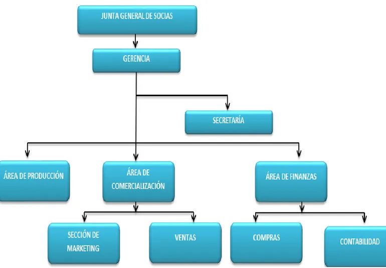 Gráfico 3: Estructura Orgánica de la Empresa. 