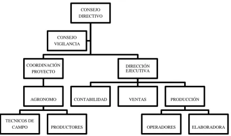 FIGURA No.  1 