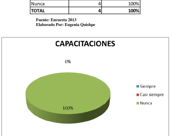 Gráfico N°6: Capacitaciones  Fuente: Encuesta 2013 