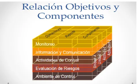 Gráfico 4: Relación objetivos y componentes del Control Interno 