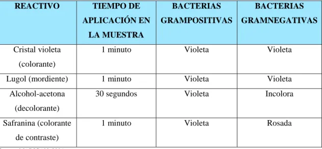 Tabla 12-1: Reactivos de la tinción Gram, tiempo de aplicación y color de las bacterias Gram  positivas y Gram negativas