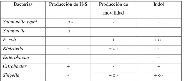 Tabla 4-2 Microorganismos identificados con la prueba de SIM  Bacterias  Producción de H 2 S  Producción de 