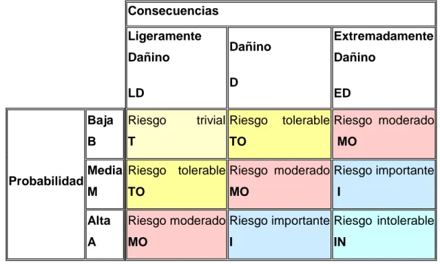 CUADRO 19.  NIVELES DE RIESGO 