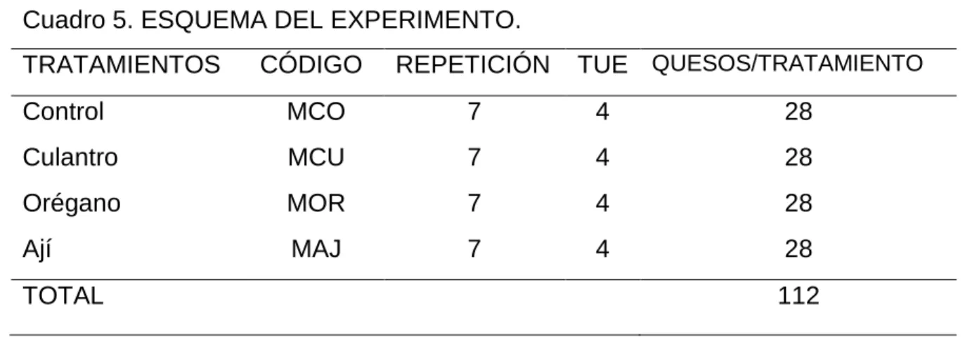 Cuadro 5. ESQUEMA DEL EXPERIMENTO. 