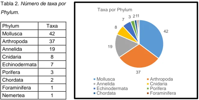 Figura  3.  Número  de  taxa  por  Phylum  para  macrozoobentos de fondo duro y arenoso