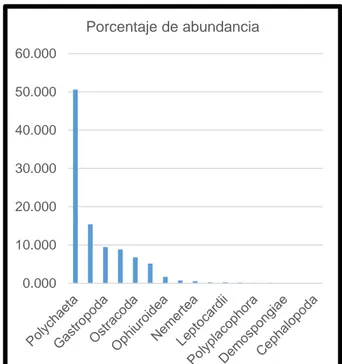 Figura  6.  Porcentaje  de  abundancia  por  Clase  del macrozoobentos de fondo duro y arenoso