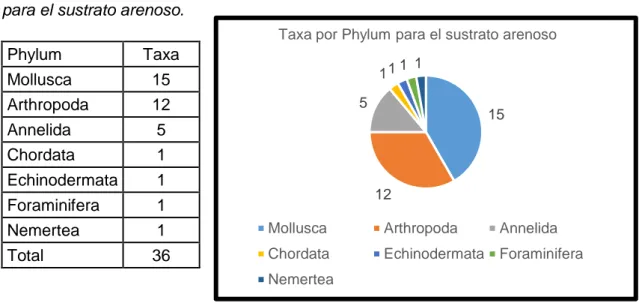 Figura  7.  Número  de  taxa  por  Phylum  para  el  sustrato  arenoso. 