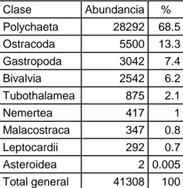 Tabla 9. Porcentaje de abundancia por  Clase para el sustrato arenoso. 