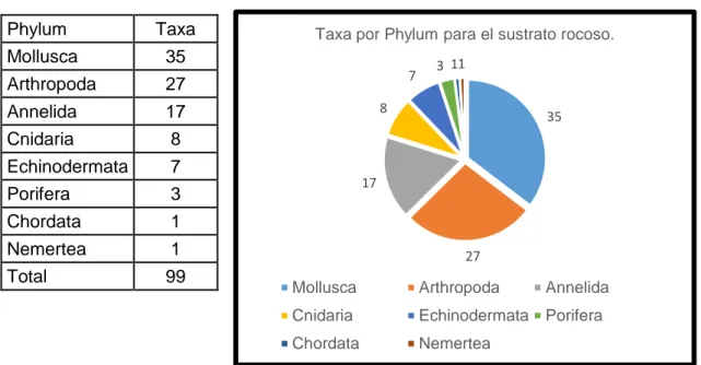 Figura 11. Número de taxa por Phylum para el sustrato  rocoso. 