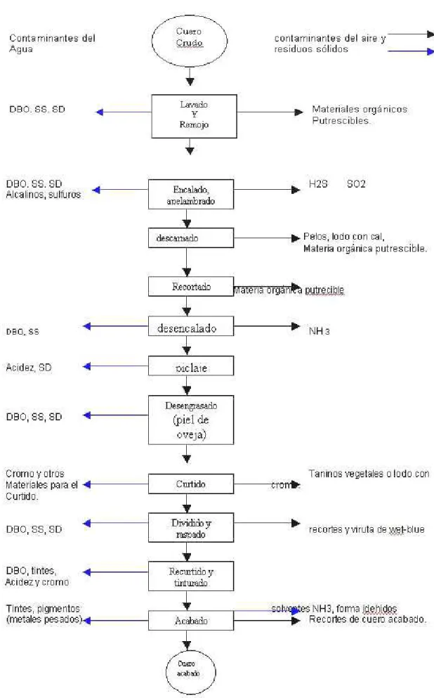 Gráfico 2. Proceso de curtido con cromo. 