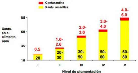 Gráfico 3.   Concentración de xantofilas amarillas y cantaxantina para obtener  diferentes niveles de pigmentación en el pollo de engorda