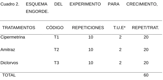 Cuadro 2.  ESQUEMA  DEL  EXPERIMENTO  PARA  CRECIMIENTO,  ENGORDE. 