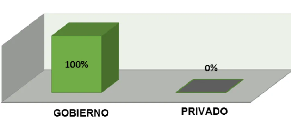 Gráfico 10.   Programa ganadero gubernamental de la granja “Shitig”. 