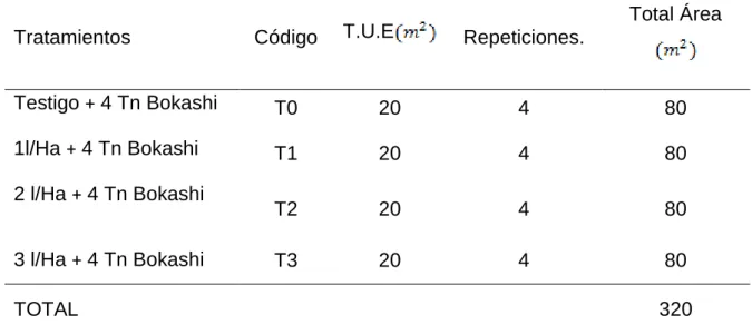 Cuadro 6.  ESQUEMA DEL EXPERIMENTO.  