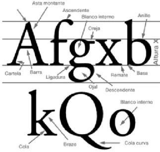 Figura II. 6: Partes de la tipografía 