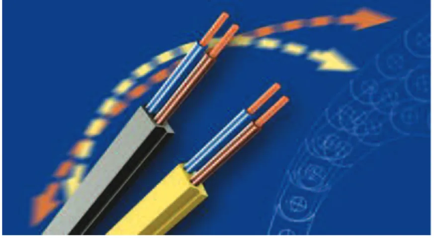 Figura II.9Cable AS-i 10