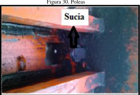 Figura 30. Poleas