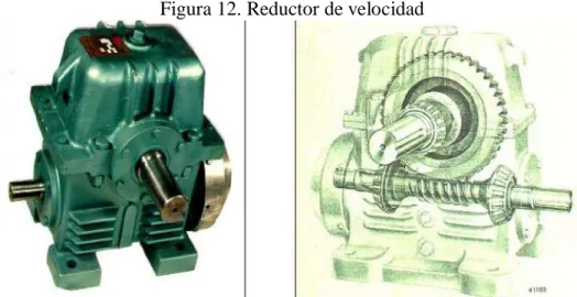 Figura 12. Reductor de velocidad 