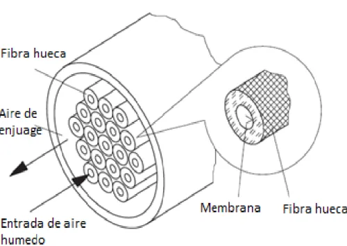 Figura 8. Secador de membrana 