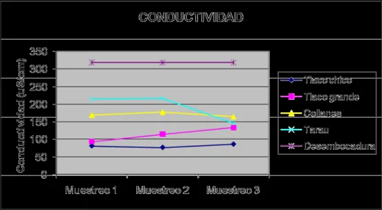 Gráfico 12.  Variación de la conductividad en cada punto durante el monitoreo 